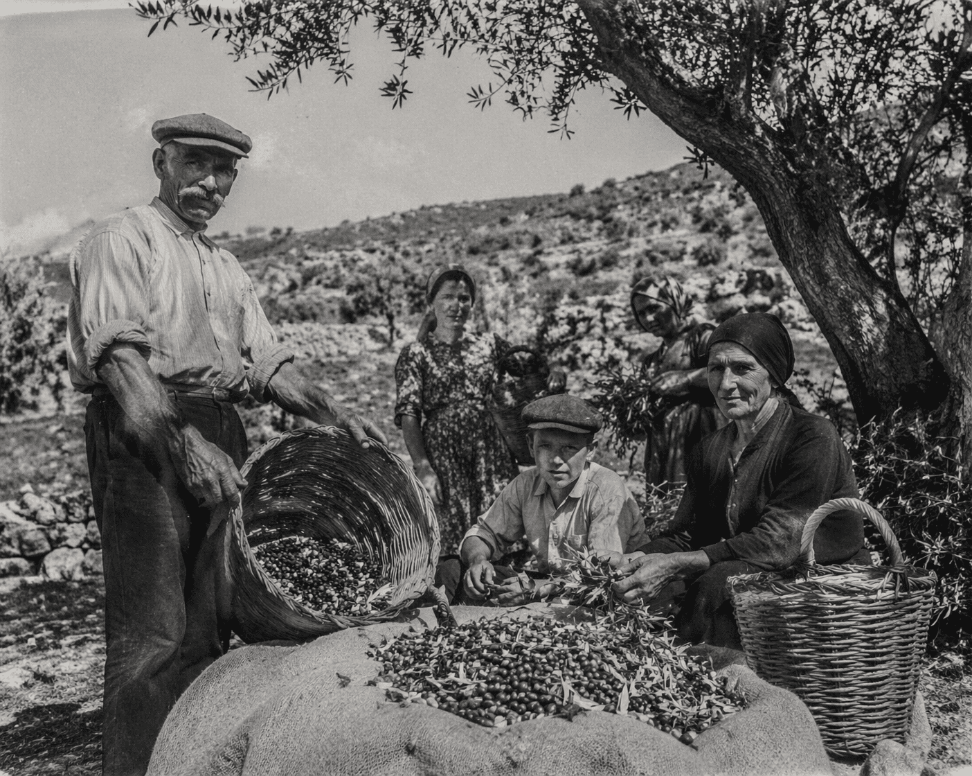 Apertura sito